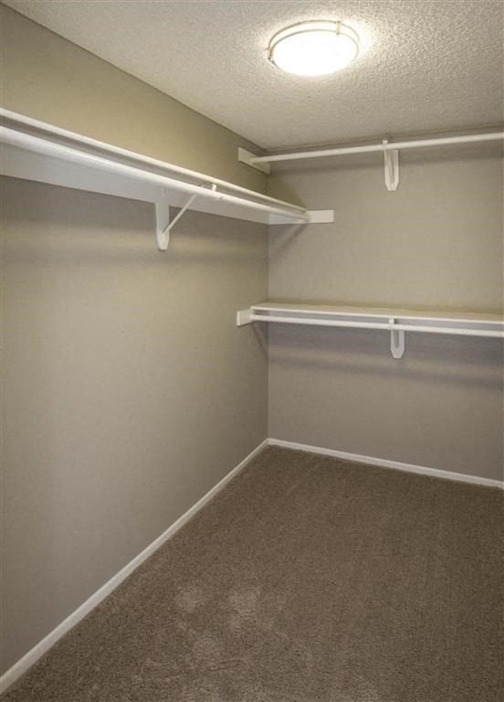 a walk in closet with white shelves and a carpet