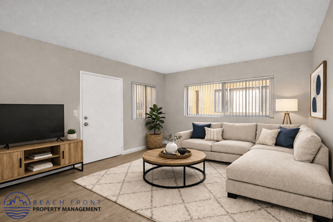A living room with a television, a sofa, a coffee table, and a rug.