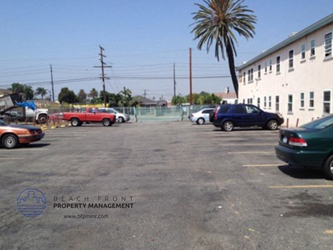 A parking lot with several cars and a palm tree in the background.