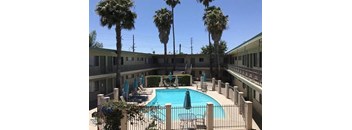 a swimming pool with chairs and umbrellas and palm trees
