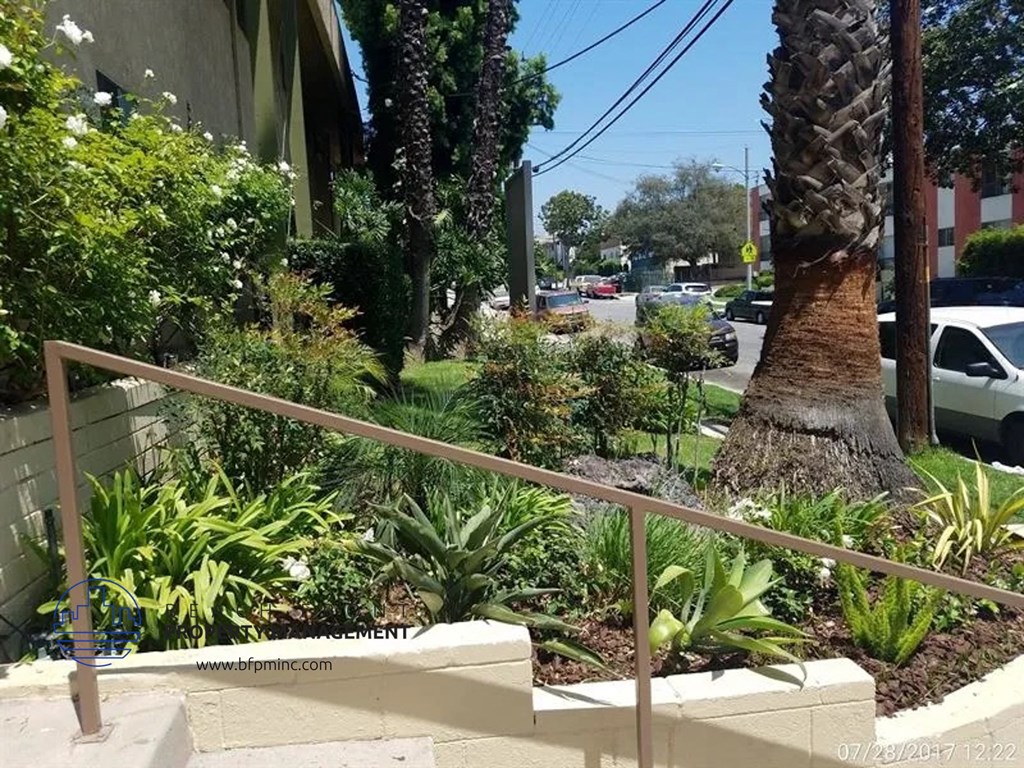 a palm tree in a garden next to a staircase