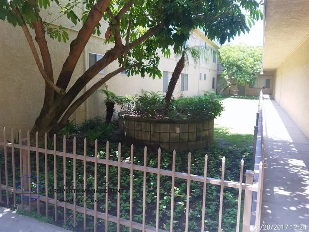 a tree in a pot in front of a fence