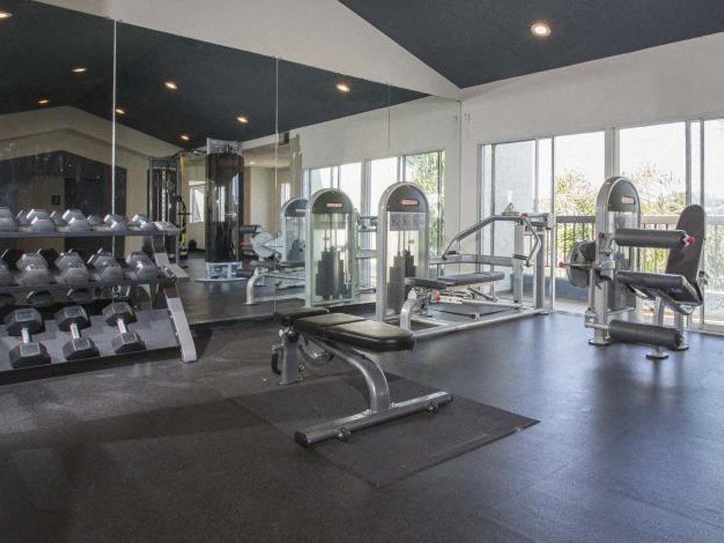 a gym with a lot of equipment and windows