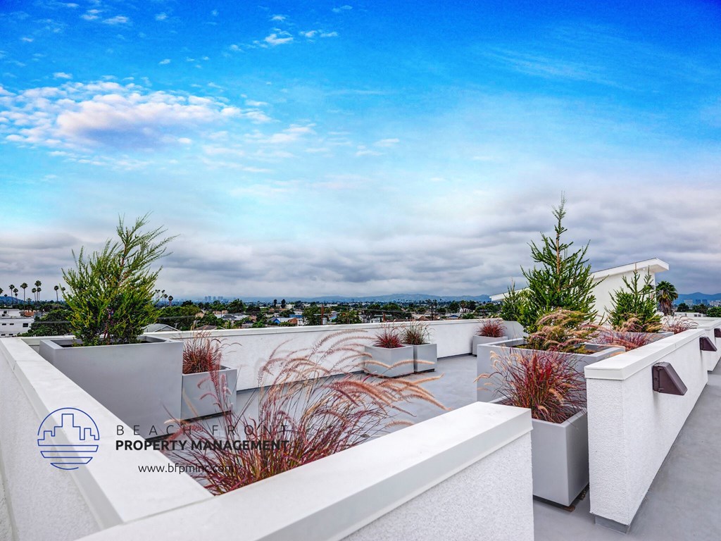 a roof terrace with potted plants and a view of the city