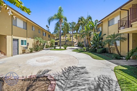 a courtyard with palm trees in front of a building