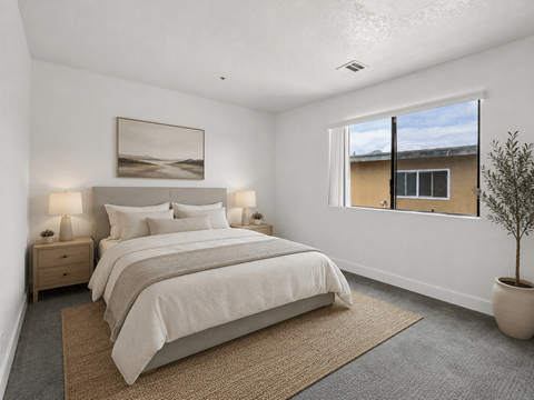 A bedroom with a large bed, two nightstands, and a potted plant.