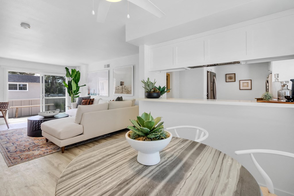 A white living room with a couch, coffee table, and potted plant.