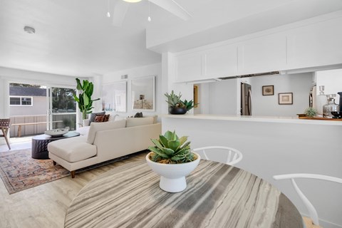 A white living room with a couch, coffee table, and potted plant.