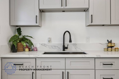 A kitchen with a sink and a plant on the counter.