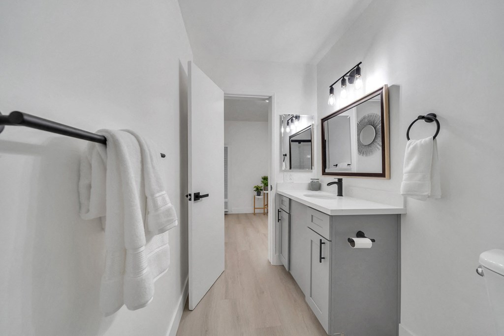 a bathroom with a sink and a mirror and a shower