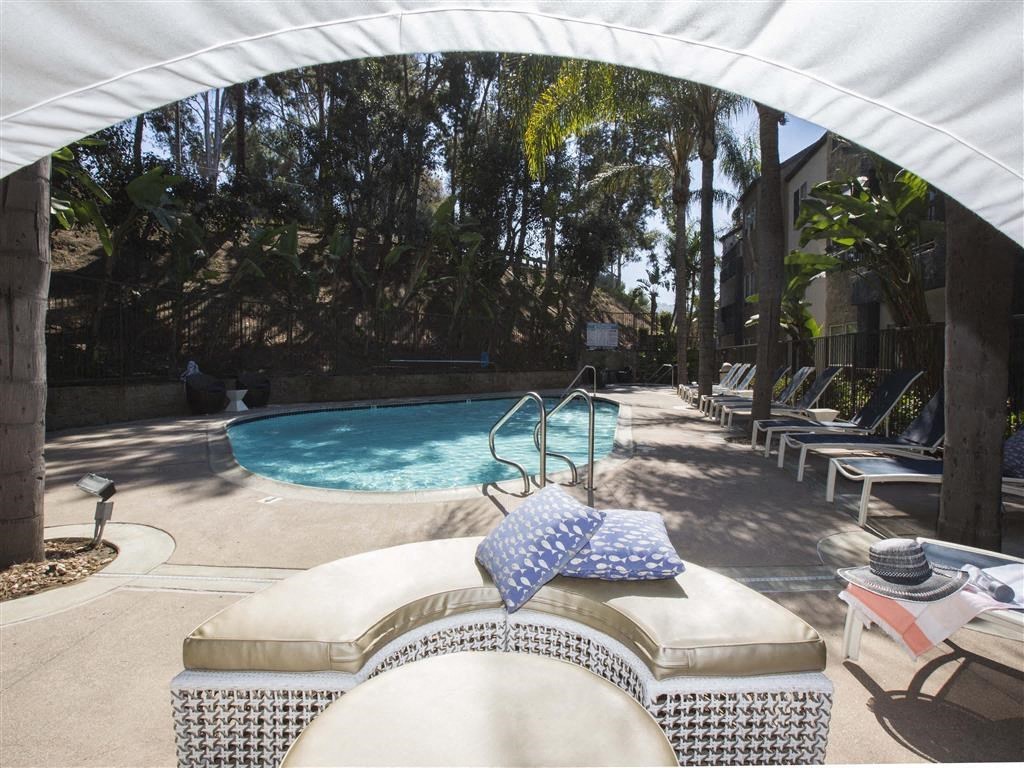 the swimming pool at the resort