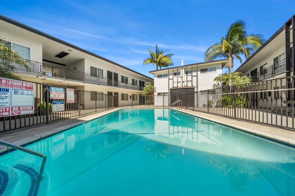 the swimming pool at our apartments with palm trees