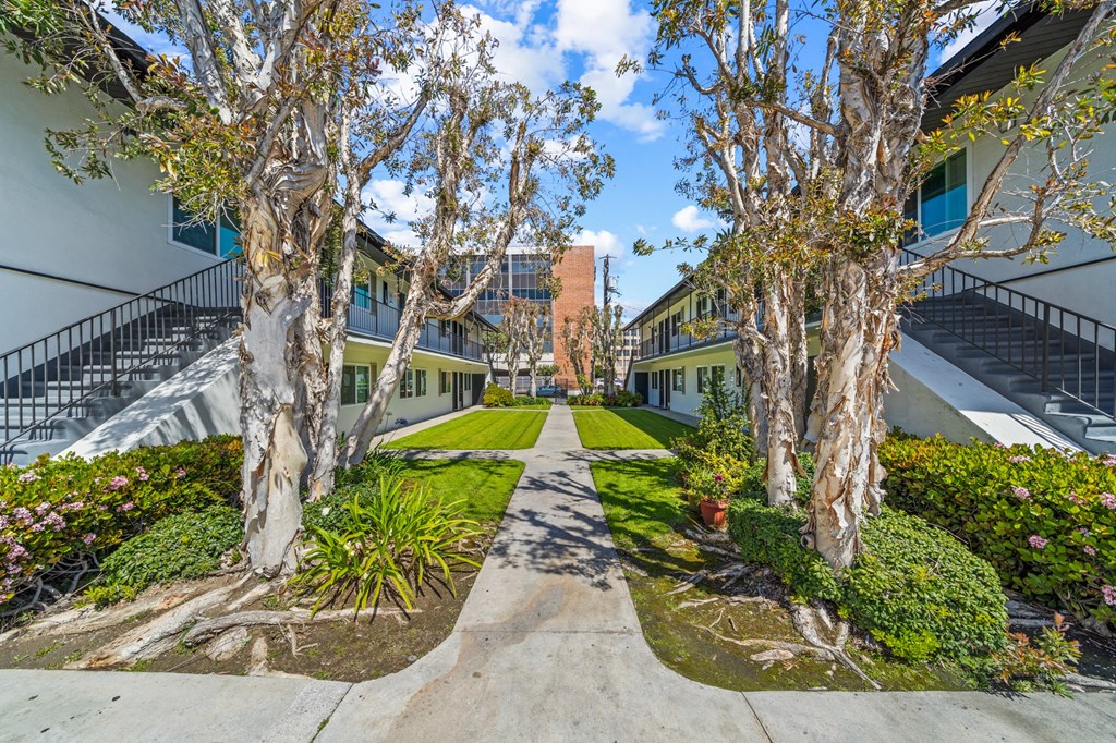 a courtyard between two buildings with trees and grass