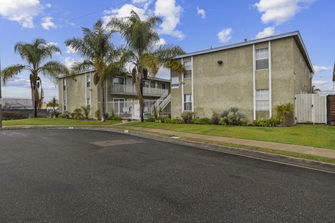 A street view of a residential area with apartment buildings and palm trees.