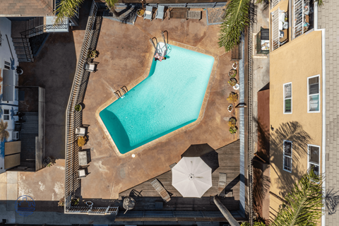 A swimming pool surrounded by palm trees and umbrellas.