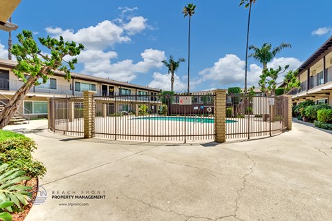 A pool surrounded by a fence with palm trees in the background.