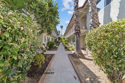 a sidewalk with palm trees and houses on either side of it
