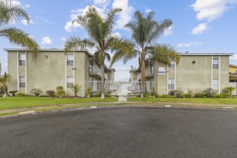 A street view of a residential area with apartment buildings and palm trees.