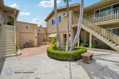 A palm tree stands in a courtyard between two buildings.