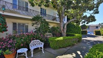 a patio in front of a house with benches and a tree