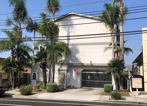 a white building with a gate and palm trees