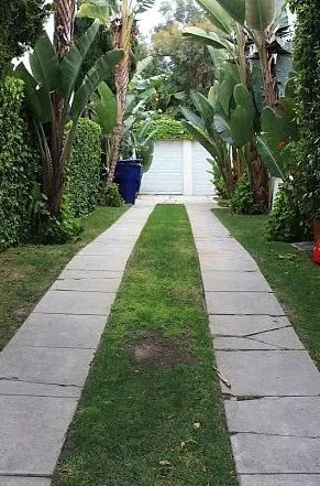 a walkway with grass on the side of a house