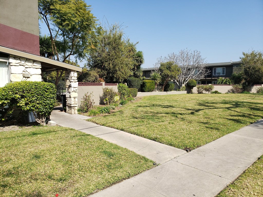 a yard in front of a house with a sidewalk