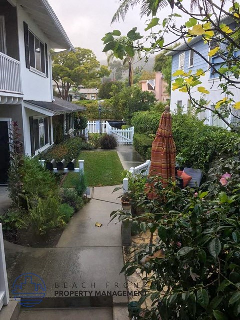 A wet walkway leads to a white gate in a lush green yard.