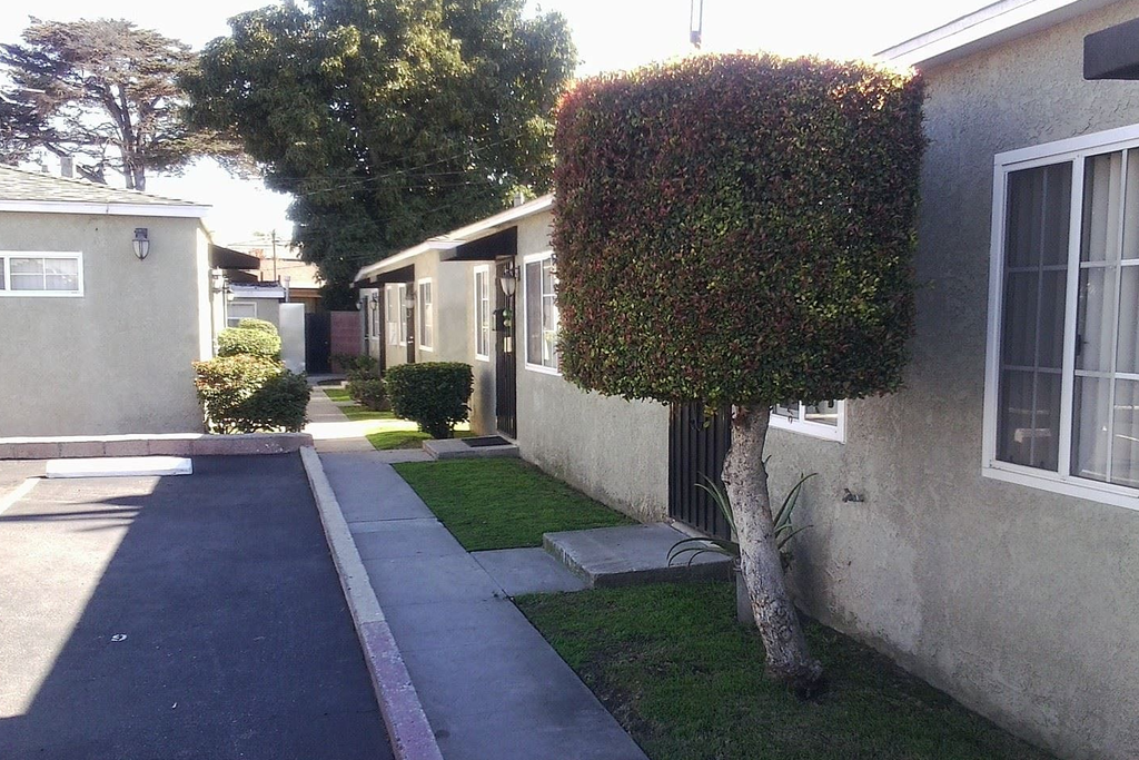 a sidewalk in front of a building with a tree