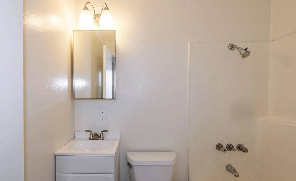 a bathroom with a sink and a toilet and a mirror