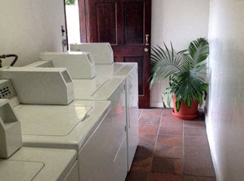 a kitchen with white appliances and a potted plant