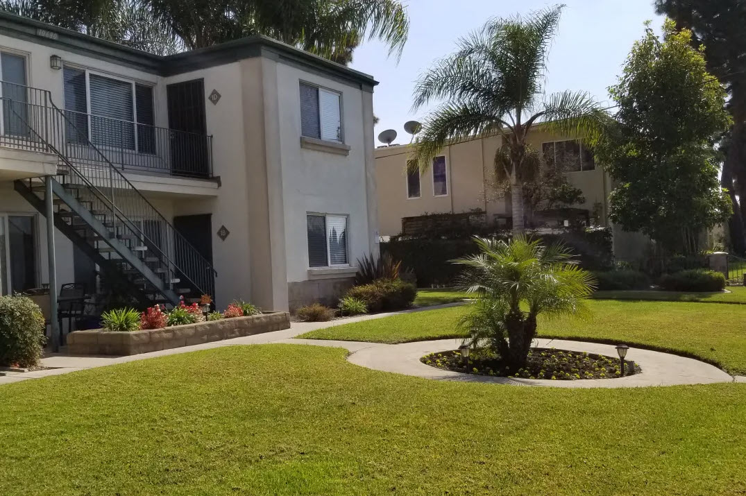 a house with a lawn and palm tree in front of it