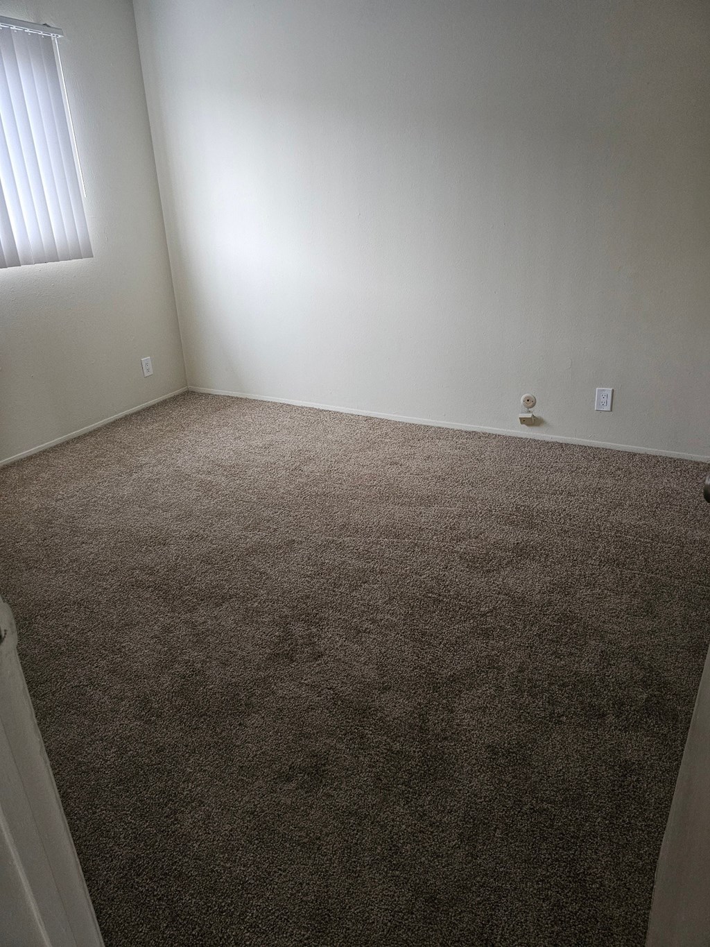 a carpeted room with a white wall and a window