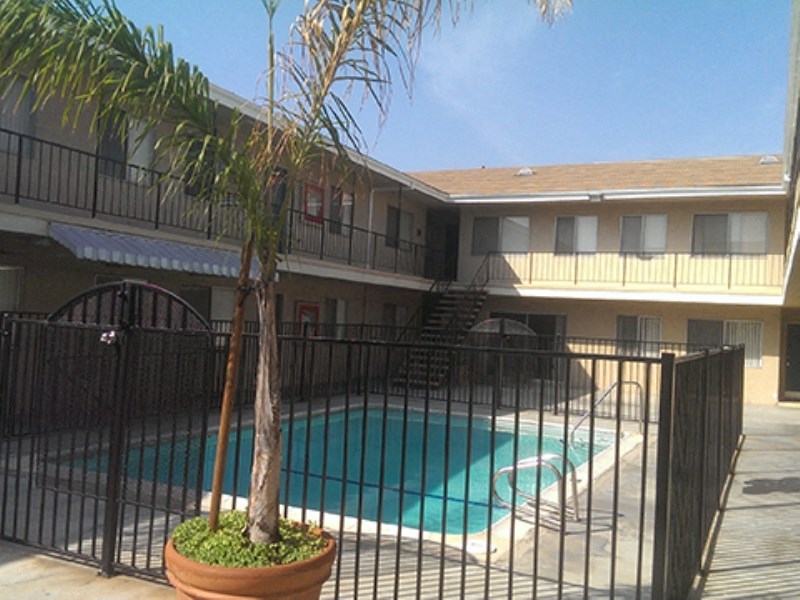 a view of the pool at the flamingo resort hotel and spa