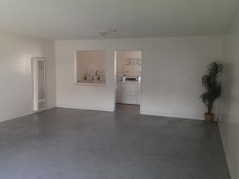 an empty living room with white walls and a potted plant