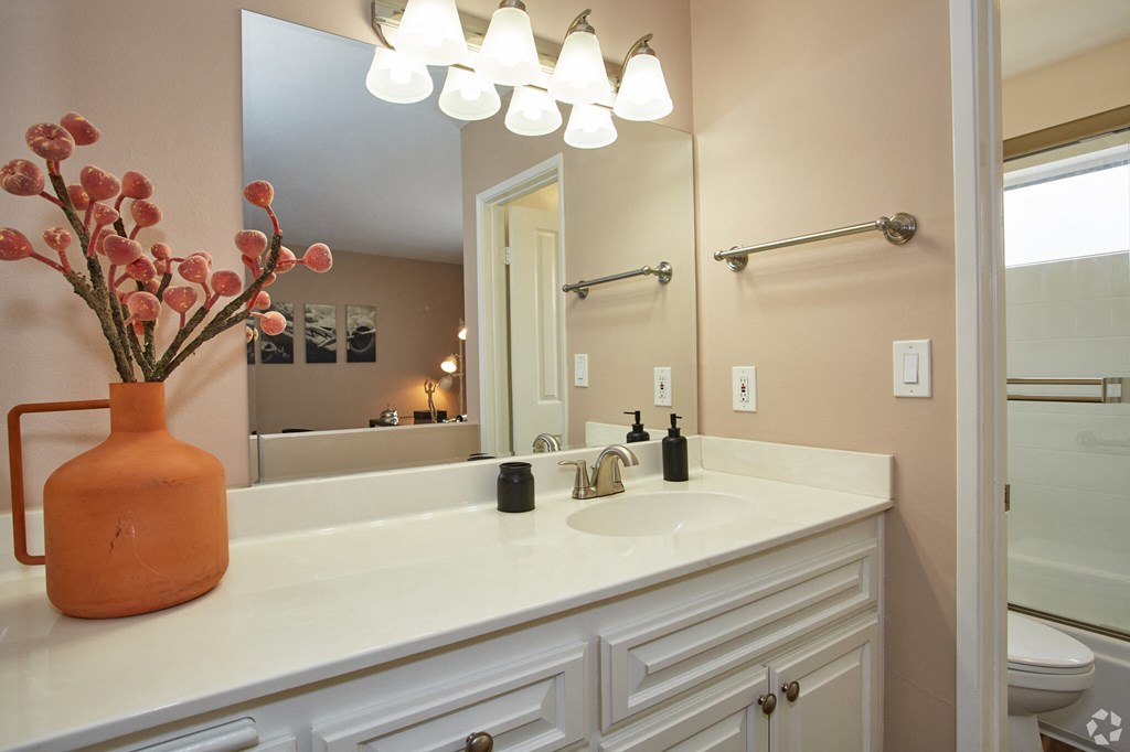 a bathroom with a sink and a mirror