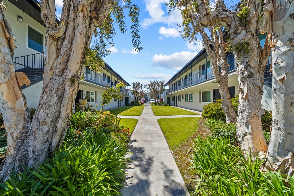 a walkway between two apartment buildings with trees and grass