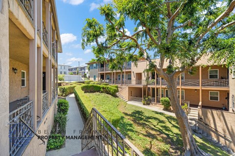 A sunny day at a residential complex with a tree in the foreground.