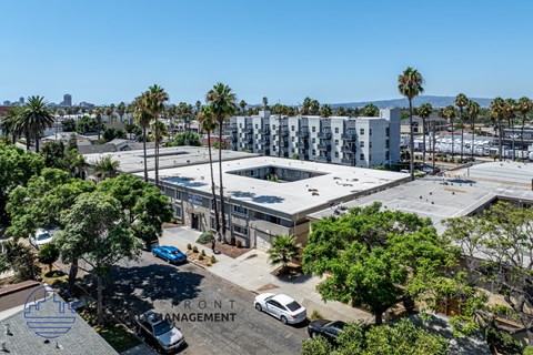 A parking lot with a building and palm trees in the background.