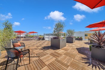 16819 Normandie Ave. Studio Apartment for Rent - Photo Gallery 3