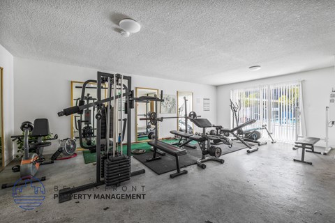 A gym with a variety of equipment including a weight bench, a squat rack, and a treadmill.