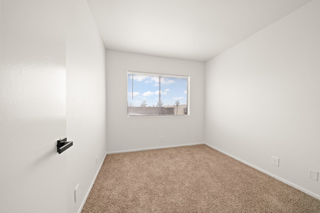 an empty room with carpet and a window