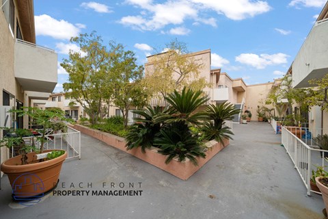 a courtyard with plants and apartments on both sides of a building