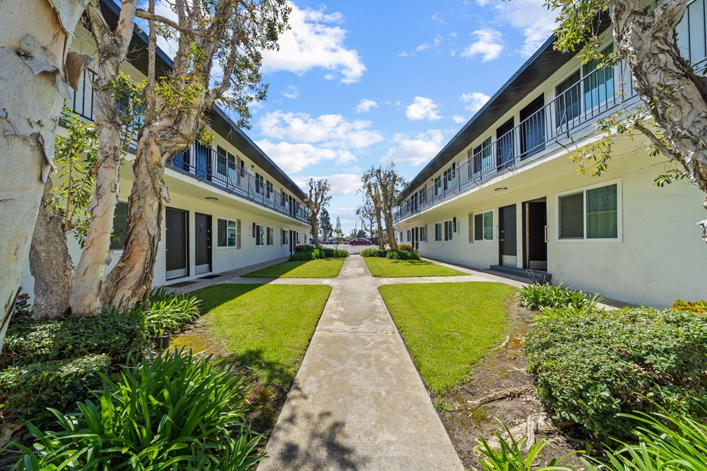 the courtyard between the buildings at the apartments