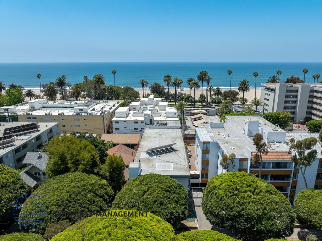 A view of a coastal city with buildings, trees, and the ocean in the background.