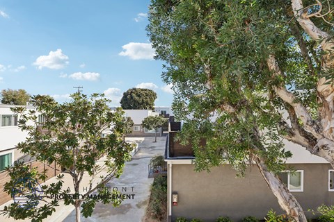 A tree in front of a building with the word