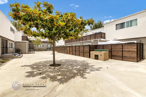 a large yard with a tree in the middle of it