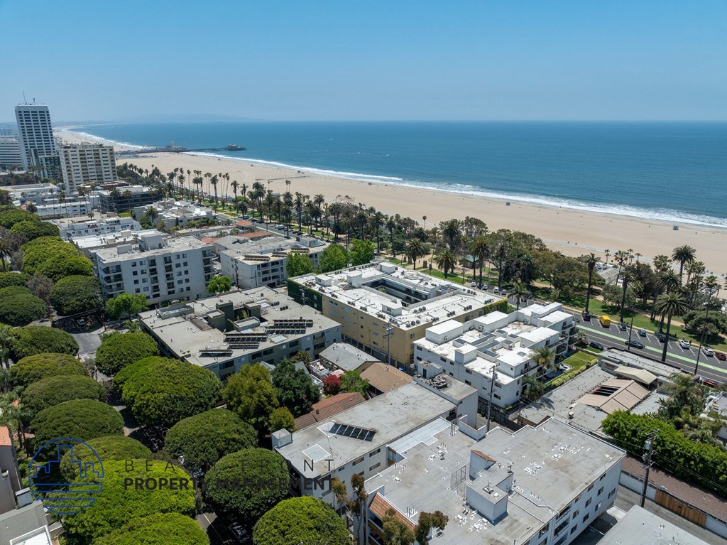 A beachfront property with a large building and a row of trees.
