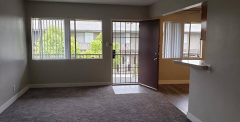 A room with a carpeted floor, a sliding door, and a window with a view of a fence and trees.