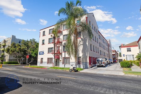 A street view of a multi-story building with a palm tree in front.